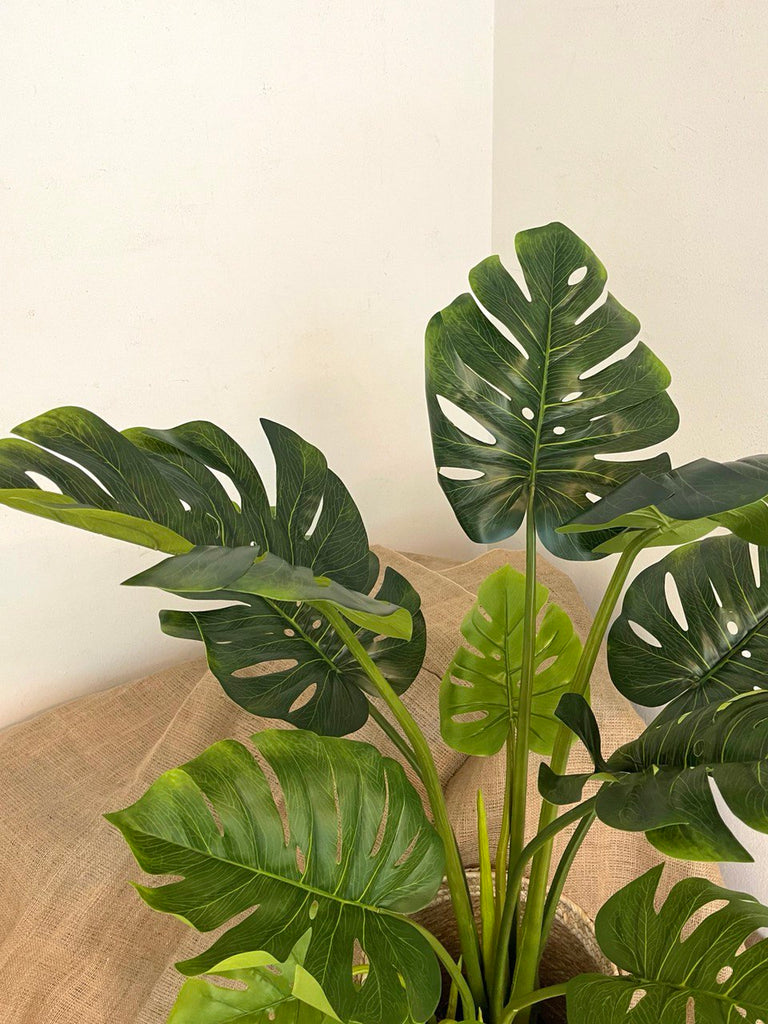 Ming Sing Shares: Caring for Your Artificial Plants