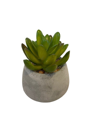 Open image in slideshow, Artificial Potted Little Jewel Succulent
