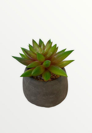 Open image in slideshow, Artificial Potted Echeveria Agavoides
