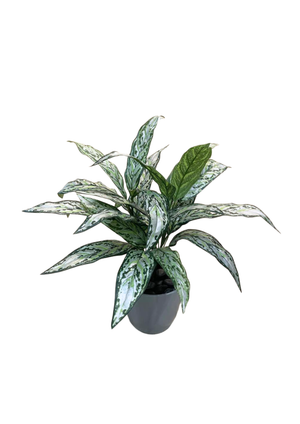 Open image in slideshow, Artificial Silver Queen
