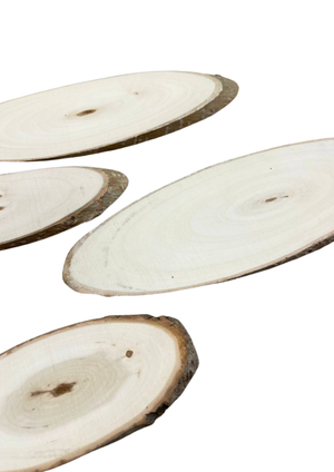 Wood Slice Set
