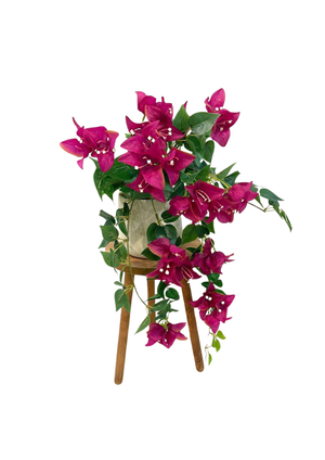 Open image in slideshow, Artificial Potted Bougainvillea
