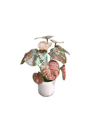 Open image in slideshow, Artificial Red Begonia
