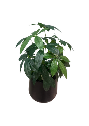 Open image in slideshow, Artificial Potted Pachira Plant
