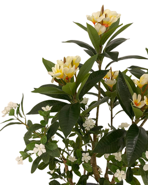 Artificial Frangipani with Periwinkle