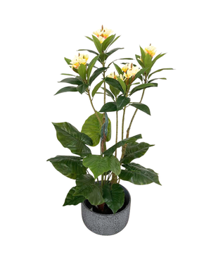 Open image in slideshow, Artificial Frangipani with Alocasia Plant
