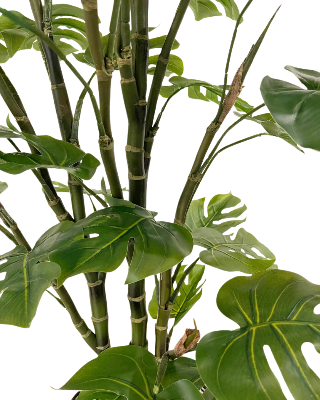 fake split leaf philodendron Artificial Split-Leaf Philodendron (Monstera) – mingsing flowers