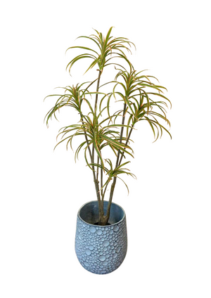 Open image in slideshow, Artificial Red Dracaena
