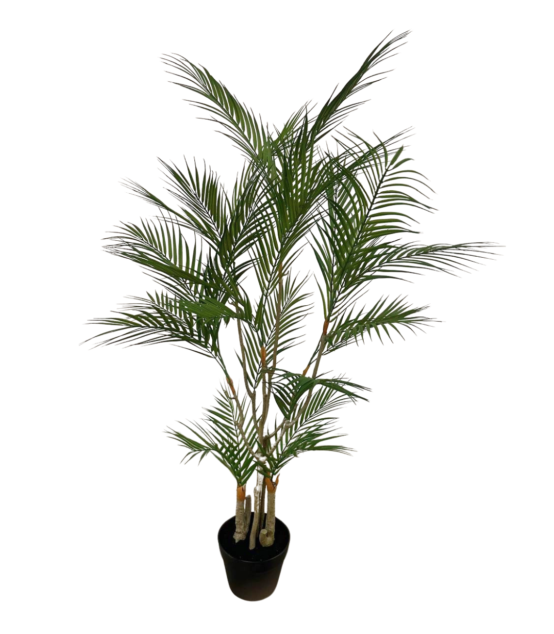 jawa palm plant Artificial Jawa Palm Tree – mingsing flowers