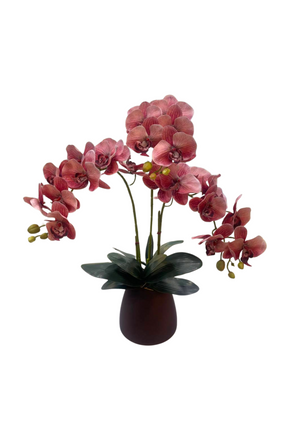 Open image in slideshow, Artificial 3-Stalk Phalaenopsis Arrangement in Brown Vase
