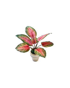 Open image in slideshow, Artificial Caladium Bush (Pink)
