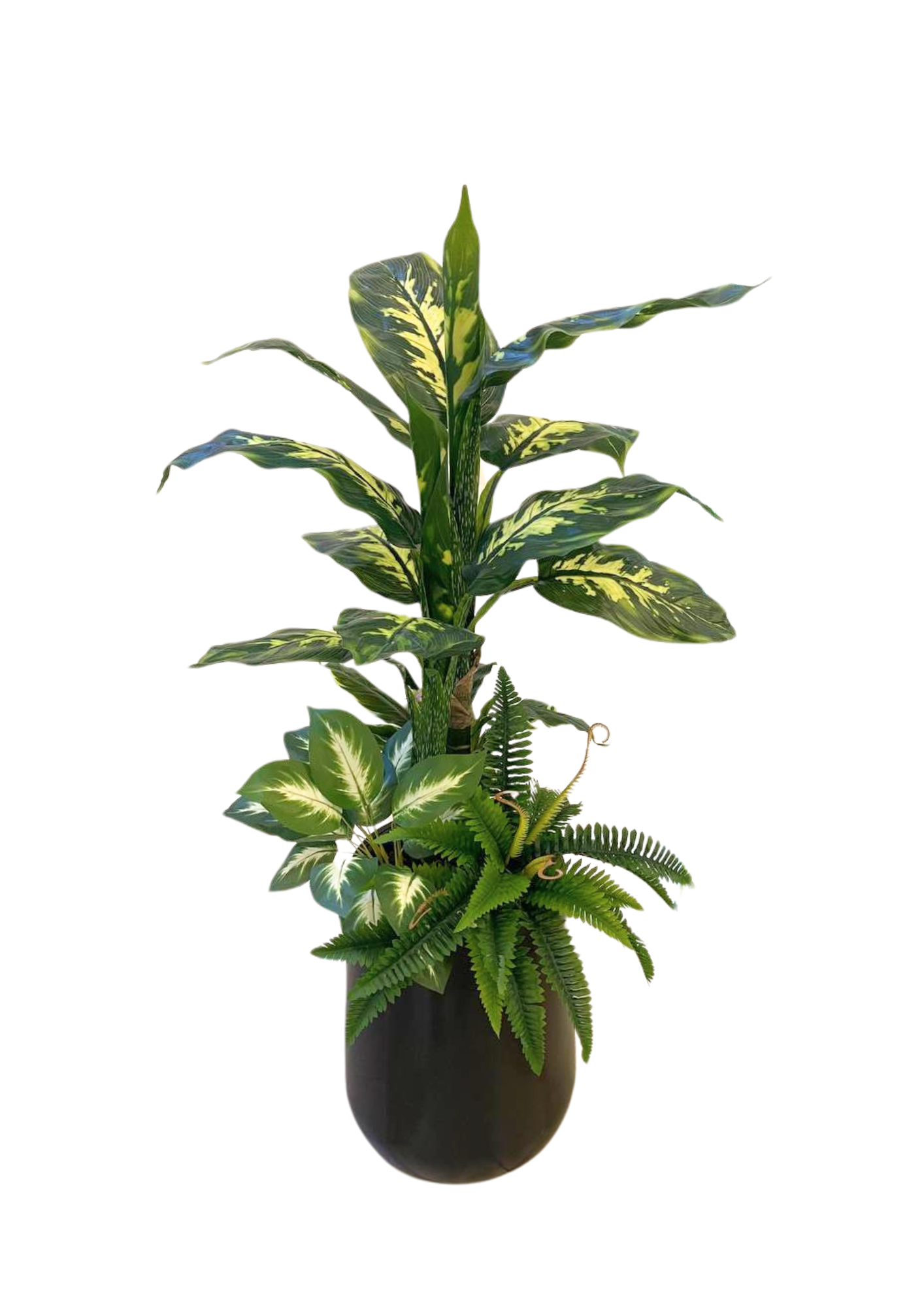 dieffenbachia assorted Artificial Dieffenbachia Plant with Assorted Ferns – mingsing flowers