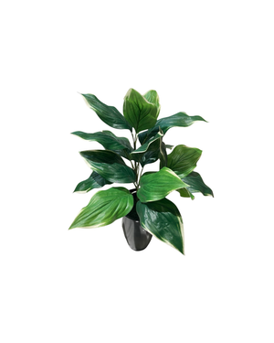 Open image in slideshow, Artificial Hosta

