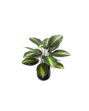 Open image in slideshow, Artificial Philodendron Silver Stripe
