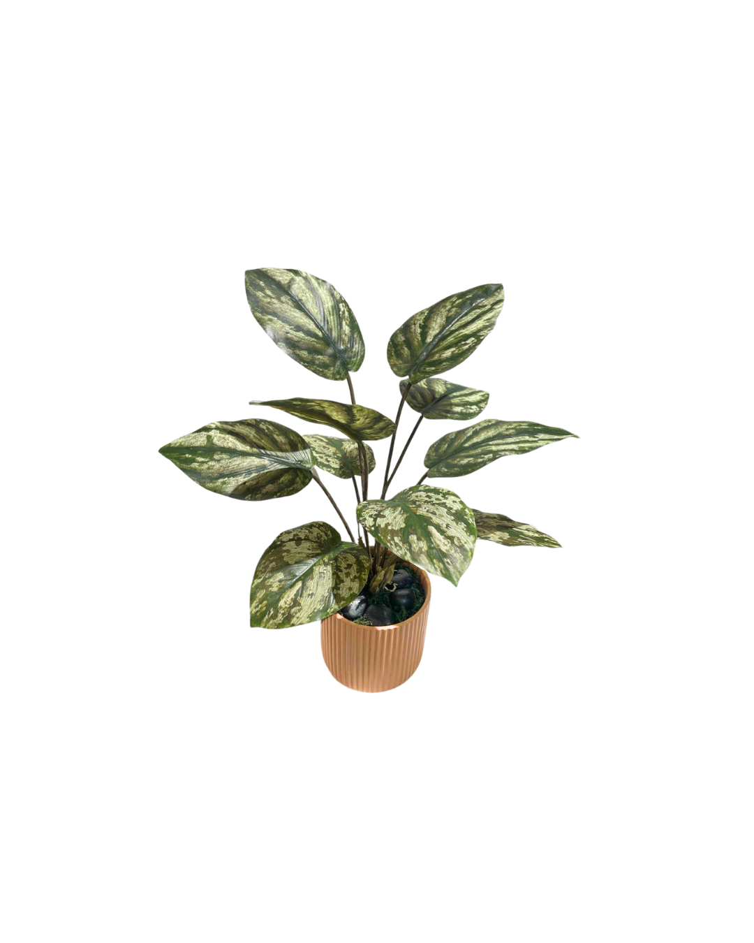 philodendron in chinese Artificial Variegated Philodendron Brandtianum
