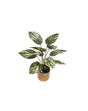 Open image in slideshow, Artificial Variegated Philodendron Brandtianum
