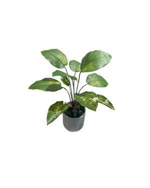Open image in slideshow, Artificial Dieffenbachia
