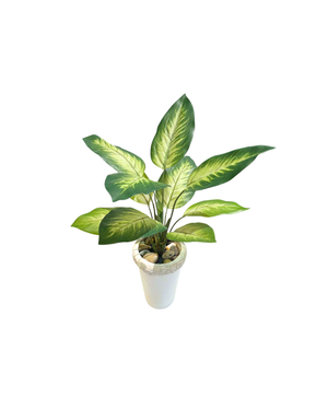 Open image in slideshow, Artificial Dieffenbachia Camelia
