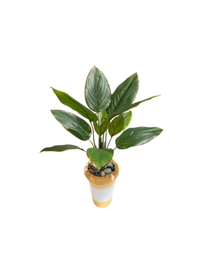 Open image in slideshow, Artificial Aglaonema Crete Bush
