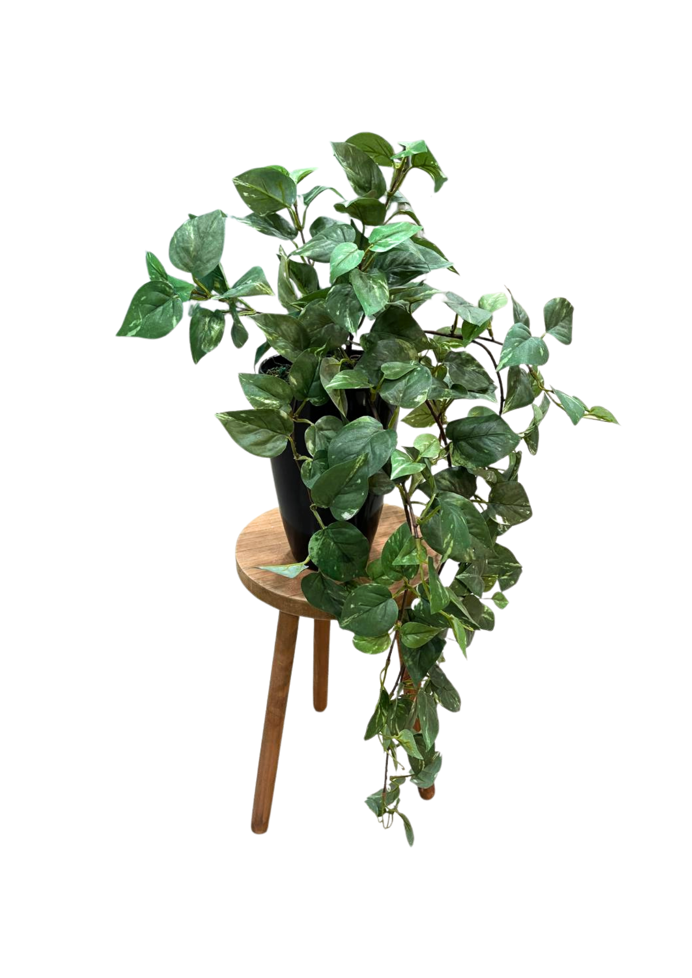 cascading pothos Artificial Cascading Pothos