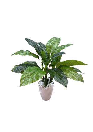 Open image in slideshow, Artificial Spathiphyllum

