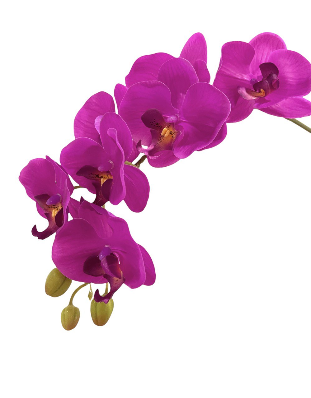 Artificial Classic Double-Stalk Phalaenopsis Orchid Arrangement