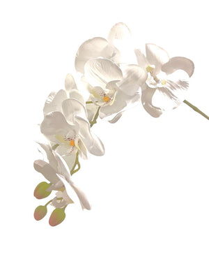 Open image in slideshow, Artificial Classic Double-Stalk Phalaenopsis Orchid Arrangement
