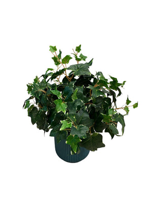 Open image in slideshow, Artificial Potted Ivy Bush
