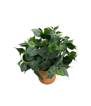 Open image in slideshow, Artificial Potted Philo Bush
