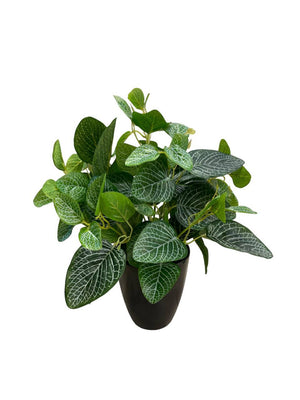 Open image in slideshow, Artificial Fittonia
