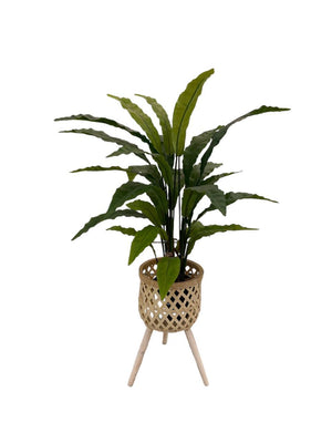 Open image in slideshow, Artificial Potted Bird&#39;s Nest Fern
