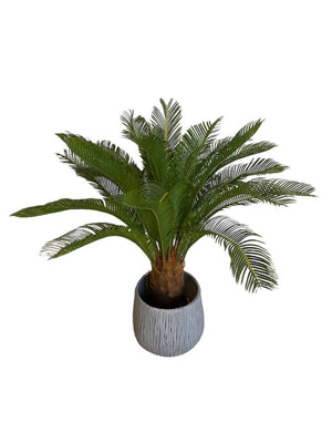 Open image in slideshow, Artificial Cycas Plant (Sago Palm)
