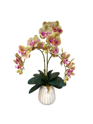 Open image in slideshow, Artificial Triple-Stalk Phalaenopsis Orchid Arrangement in White Ceramic Pot

