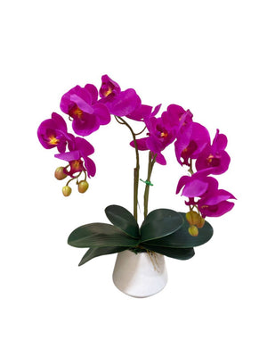 Open image in slideshow, Artificial Double-Stalk Phalaenopsis Orchid Arrangement in White Ceramic Pot
