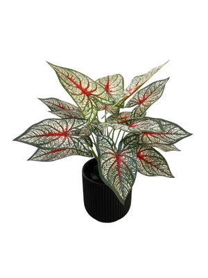 Open image in slideshow, Artificial Caladium
