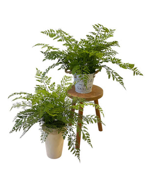 Open image in slideshow, Artificial Northern Fern
