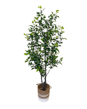 Open image in slideshow, Artificial Ficus Tree
