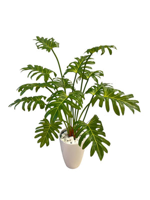 Open image in slideshow, Artificial Philodendron
