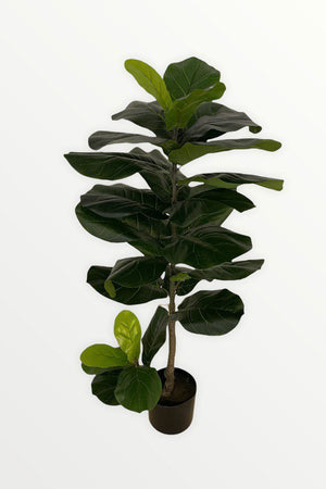 Open image in slideshow, Artificial Lyrata Ficus
