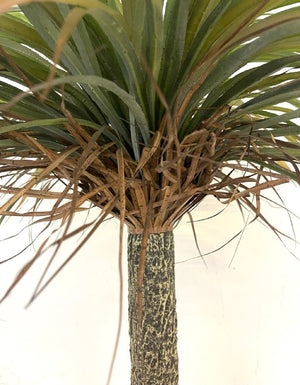 Artificial Yucca