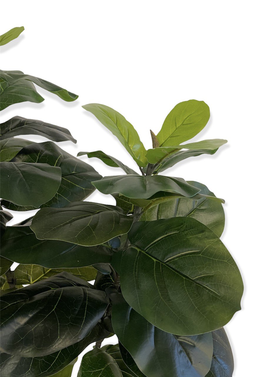 Artificial Lyrata Ficus – mingsing flowers