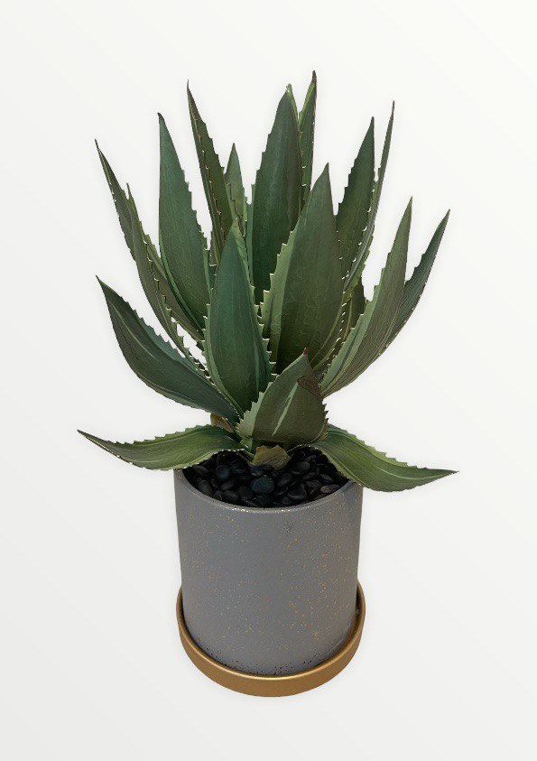 Artificial Agave