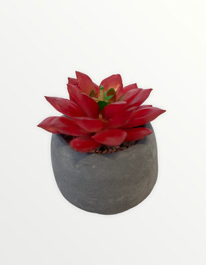 Open image in slideshow, Artificial Potted Mini Succulent
