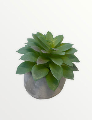 Open image in slideshow, Artificial Potted Molded Wav Agave
