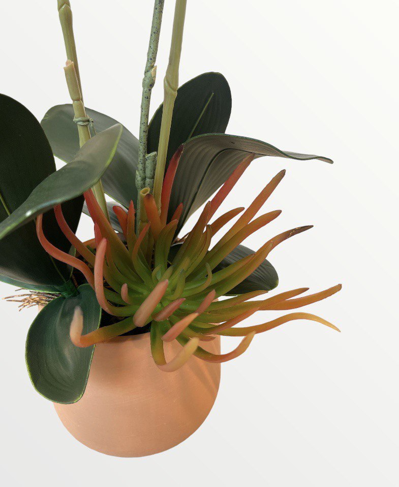 Artificial Triple-Stalk Phalaenopsis Orchid Arrangement with Succulent
